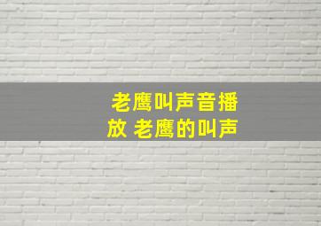 老鹰叫声音播放 老鹰的叫声